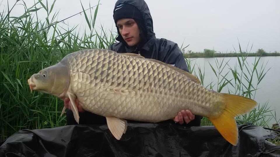 Lacul Moby Dick - 117097198858675014873473869151962892712647n.jpg